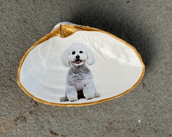 Jumbo Gold Rimmed Bichon Frise Decoupage Clamshell Trinket or Jewelry Dish