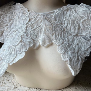 May include: White lace collar with a delicate floral pattern. The collar is made of a soft, lightweight fabric and has a scalloped edge.