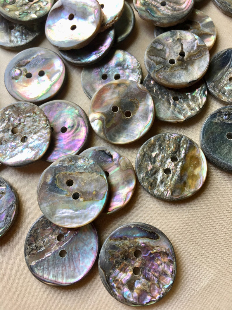 6 Abalone Buttons 40L 25mm for Knitting, Jewelry, Garments, Crafts BU ...