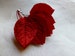 12 RED Velvet Leaves Vintage Japanese for Bridal, Boutonnieres, Corsages, Bouquets ML 94 