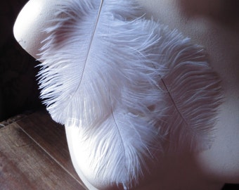 3 WHITE Ostrich Drabs  5" - 8" Feathers  for Bridal, Headbands, Flapper, Masks, Tribal Fusion, Costume Design