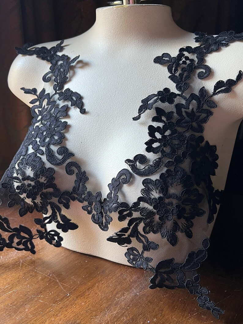May include: Black lace trim with floral designs. The lace is delicate and intricate, with a sheer background.