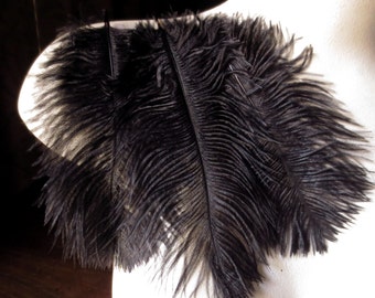 3 struzzo nero Drabs 5"- 6" piume in nero vittoriano, Regency, maschere, Tribal Fusion, Costume Design