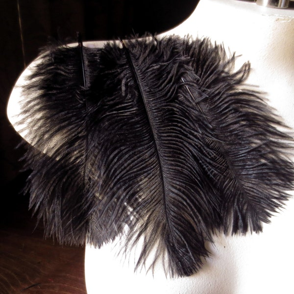 3 BLACK Ostrich Drabs  5" - 6" Feathers in Black for Victorian, Regency, Masks, Tribal Fusion, Costume Design