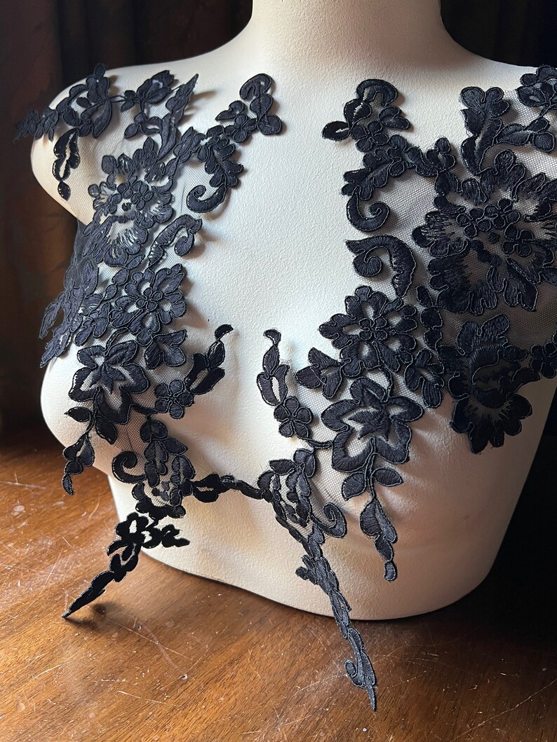 May include: Two black lace appliques with floral designs, perfect for adding a touch of elegance to any project.