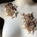 see more listings in the appliques section