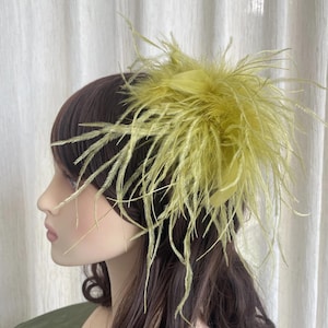 May include: A hair accessory featuring a cluster of long, wispy chartreuse green feathers. The feathers are arranged in a fan-like shape, creating a voluminous and textured appearance. The base of the feather arrangement is secured with a matching ribbon.