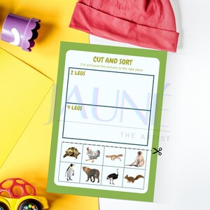 Animals Features Cut and Paste Activity - Fun Sorting Worksheet for Kids
