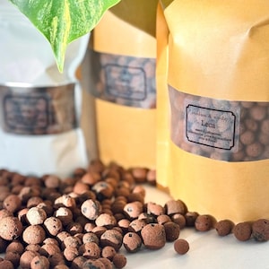 May include: Close-up of brown Leca clay pebbles scattered on a white surface, with several bags of Leca in the background. The bags are tan with labels that read "stolon & node Leca". A green leaf is visible in the upper left corner.