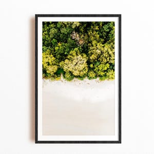 Impresión de la selva tropical de Daintree, Queensland / Arte mural de palmeras tropicales / Fotografía aérea / Póster oceánico / Decoración de selva costera / Regalo para él
