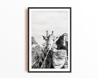 Black and White Animal Print, Giraffe Kitchen Wall Art, Nursery Digital Prints, Bathroom Poster