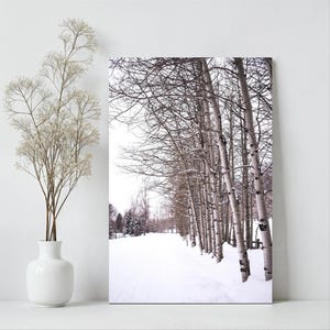 Snowy Winter Path Photography Print | Digital Download | Winter Landscape | Serene Snow Scene | Nature Wall Art | Winter Home Decor