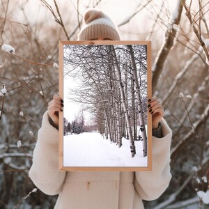 Snowy Winter Path Photography Print | Digital Download | Winter Landscape | Serene Snow Scene | Nature Wall Art | Winter Home Decor