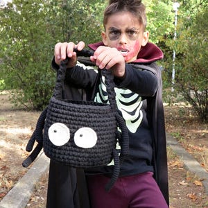 May include: A black crocheted spider-shaped Halloween treat bag with large white eyes and long legs. The bag is held by a person wearing a skeleton-themed shirt, a black cape, and burgundy pants. The background is a park setting.