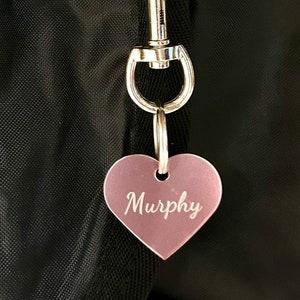 Personalized Halter Blanket Tag, Bridle Tag, Tack Tag, Horse Name Tag, Horse Tag, Tag for Equestrian, Tag for horse, Pet tag, Equine Tag