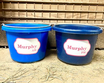 Personalized Horse Feed Bucket Label (Set of 2) – Custom Name Tag – Waterproof Sticker for Pail – Barn Organization Decal – Equestrian Gift