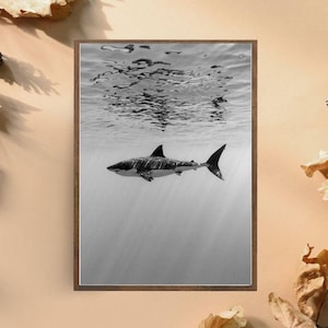 Impresión artística de tiburón en blanco y negro, fotografía minimalista del océano, arte de pared de vida marina submarina, decoración marina elegante, póster de tiburón llamativo para el hogar