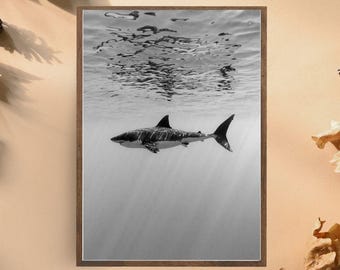 Black and White Shark Art Print, Minimalist Ocean Photography,Underwater Sea Life Wall Art, Elegant Marine Decor, Bold Shark Poster for Home
