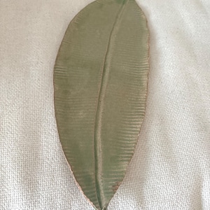May include: A green ceramic leaf-shaped serving tray. The tray has a textured surface and a raised vein running down the centre.