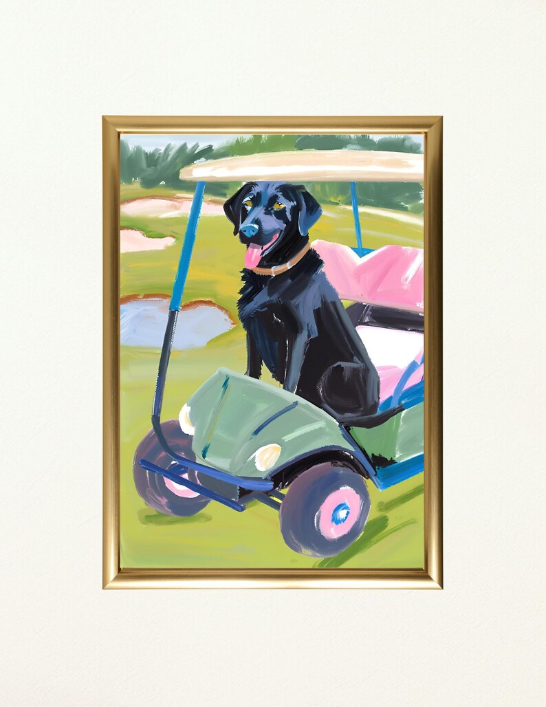 Puede incluir: Un labrador retriever negro se sienta en un carrito de golf verde en un campo de golf verde. El carrito tiene un asiento rosa y una capota blanca. El perro tiene la lengua fuera y mira a la c&aacute;mara.