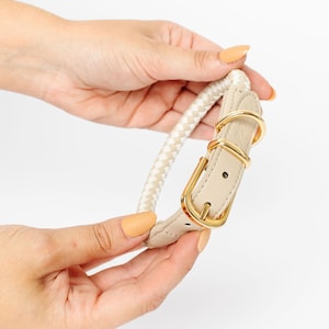 May include: Cream-colored dog collar with a braided design and gold-tone hardware. The collar features a leather strap and a metal buckle. The collar is approximately 1 inch wide.