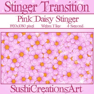 Twitch Animierter Stinger Übergang: Pastell Kawaii Pink Gänseblümchen fallend, Blume, Pflanzenbach Übergang, Cute Overlay, OBS, Youtube
