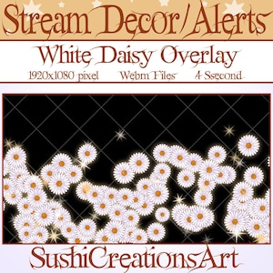 3 animierte Stream-Dekoration: Gänseblümchen-Blumen-Lichtkonfetti-Feuerwerk, weiße Gänseblümchen-Blumen-Twitch-Overlay, natürlicher Pflanzenhinweis Discord-Asset