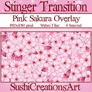 Stream Animated Stinger Transition: Kawaii Magical Pink Sakura Falling, Cherry Blossom Twitch Overlay, Spring OBS Scenes Stinger, Youtube...