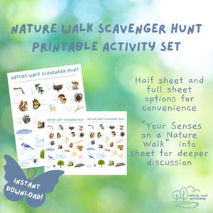 Nature Walk Scavenger Hunt Printable Activity, Nature Printable, Preschool or Elementary Learning Treasure Hunt, Outdoor Science for Kids image 3