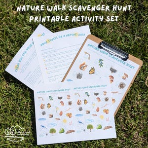 Nature Walk Scavenger Hunt Printable Activity, Nature Printable, Preschool or Elementary Learning Treasure Hunt, Outdoor Science for Kids