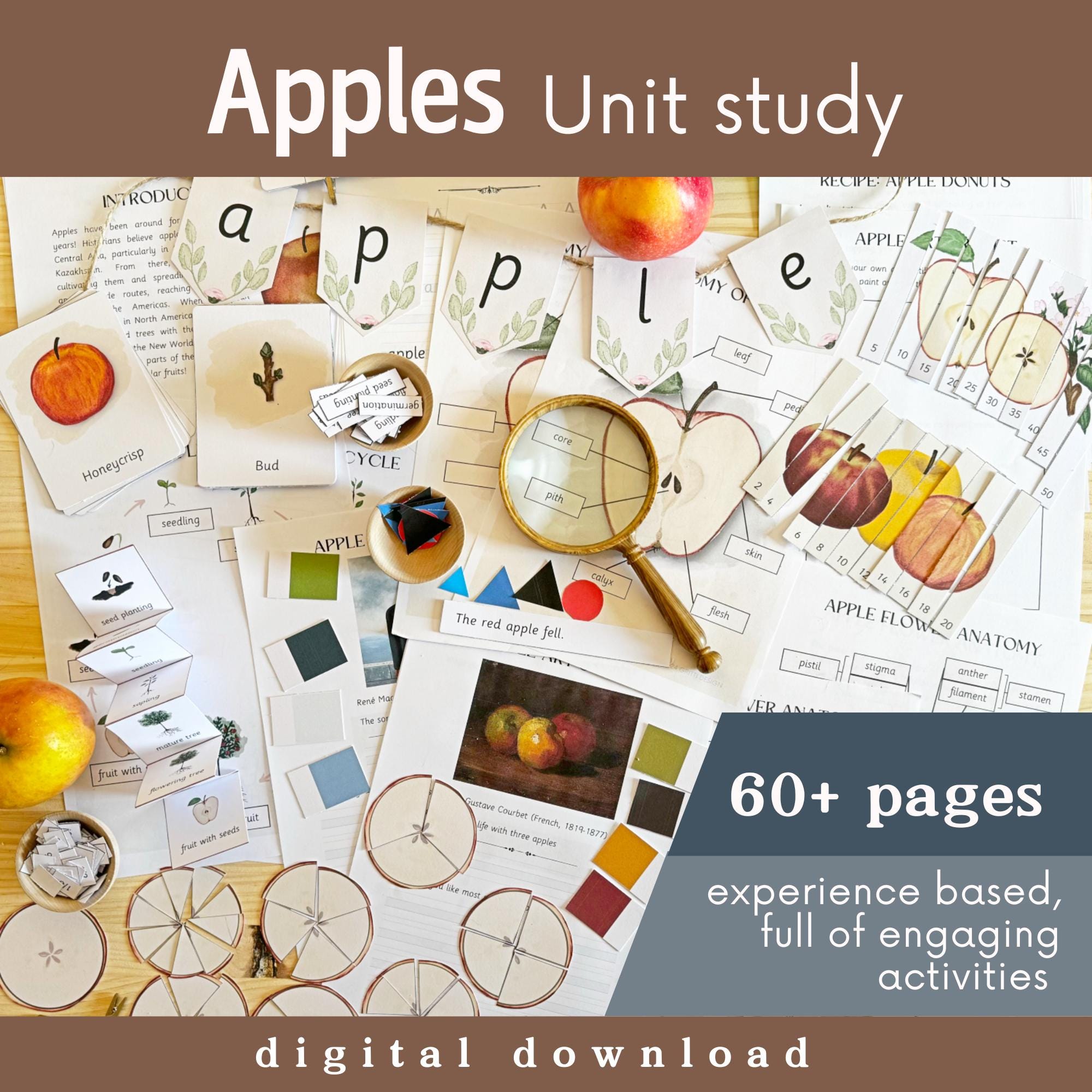 Apples Unit Study Pack | Kids Learning Activities (digital Download) - Etsy