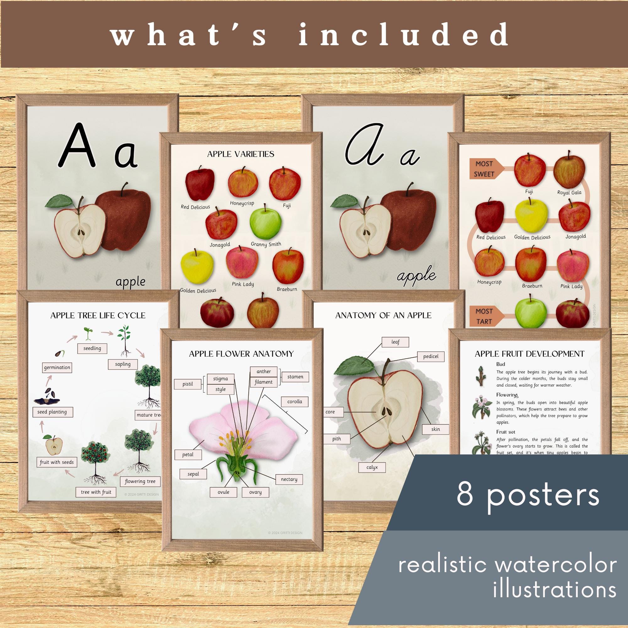 Apples Unit Study Pack | Kids Learning Activities (digital Download) - Etsy