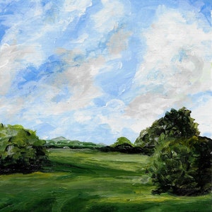 summer fields