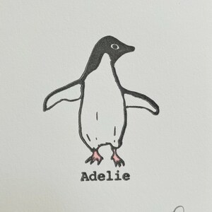 Può includere: Illustrazione disegnata a mano di un pinguino di Adelia in bianco e nero con zampe rosa. La parola "Adelia" è scritta sotto. L'immagine include anche il numero "5/5" nell'angolo in basso a sinistra. Stile semplice.