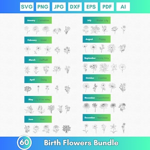 Könnte beinhalten: Eine Schwarzweißillustration von 60 Geburtsblumen, eine für jeden Monat des Jahres. Die Blumen sind in Reihen angeordnet, wobei der Monat und der Blumenname über jeder Reihe stehen. Das Bild enthält Blumen wie Nelke, Veilchen, Narzisse, Wasserlilie, Mohn, Winde, Gänseblümchen, Maiglöckchen, Rose und Narzisse.