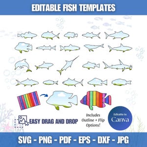 Pacchetto di 20 cornici Canva con pesci, file SVG di pesci per Cricut, modelli di pesci con contorni e capovolti, cornici drag-and-drop con vita marina, SVG di squali