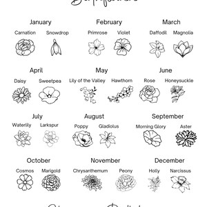 May include: A black and white chart titled Birthflowers featuring line art illustrations of two flowers for each month from January to December, including names like Carnation, Snowdrop, Primrose, Violet, Daffodil, Magnolia, Daisy, and others.