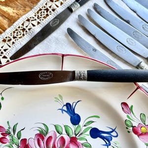 May include: A set of vintage knives with black handles and silver detailing, displayed on a floral plate. The blades are silver, and the handles have ornate metal features. The plate is adorned with pink, blue, and green floral designs.