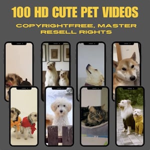100 vídeos fofos de animais de estimação em HD virais, cães, gatos, cavalos, adoráveis - Imagens de stock de mídia social TikTok, Instagram, YouTube Shorts - Download instantâneo