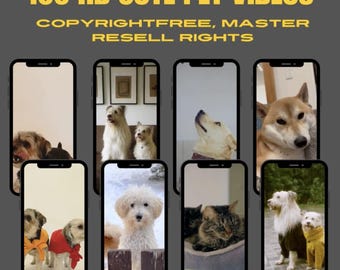 100 Cute HD Pet Videos, Dogs, Cats, Horses (Instant Download)
