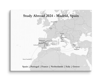 Custom Study Abroad Map (Grey/White)