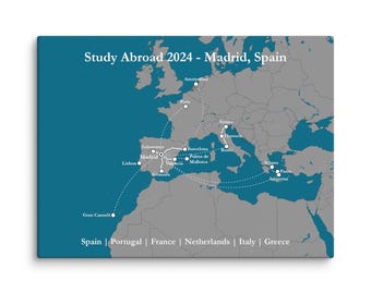 Custom Study Abroad Map (Grey/Dark Blue)