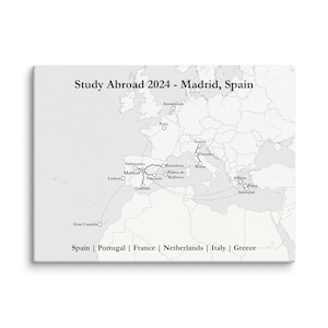 Custom Study Abroad Map (White/Grey)