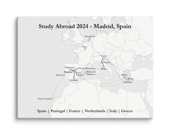 Custom Study Abroad Map (White/Grey)