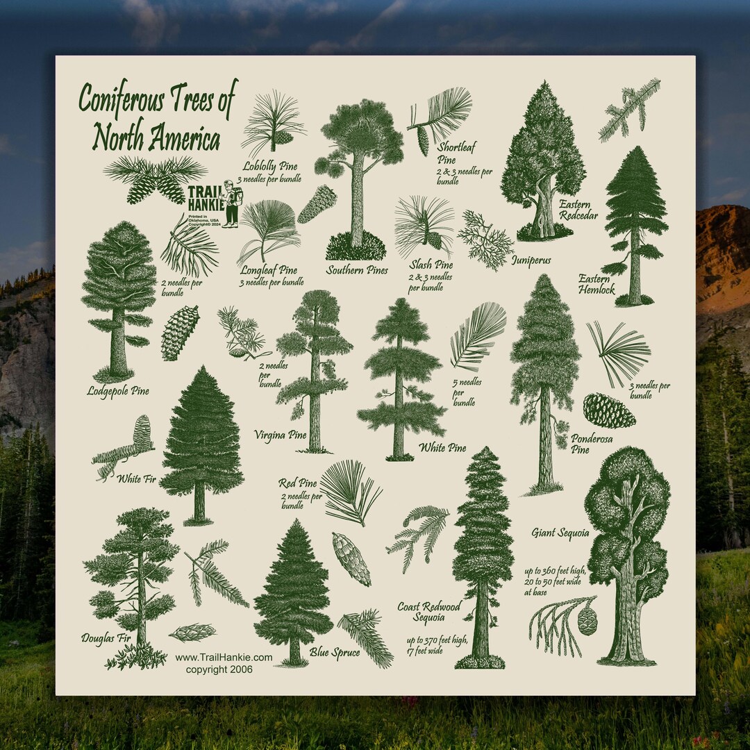 North American Trees
