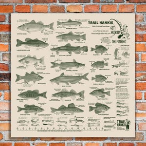 Fish Identification Bandana: Waterproof Fishing Knot Guide