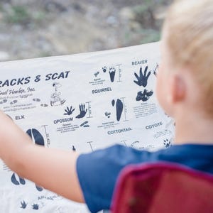 Tracks & Scat Trail Hankie, Tracks and Scat Bandana, animal tracking bandana, animal bandana, hiking bandana, camping bandana