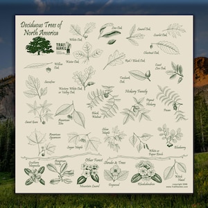 Deciduous Trees of North America Bandana: Hiking Trail Hankie