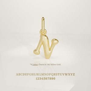 Könnte beinhalten: Ein goldfarbener Buchstabe "N" Anhänger aus 14 Karat Gelbgold. Der Anhänger ist an einer kleinen Schlaufe aufgehängt und hat ein abgerundetes, stilisiertes Design. Der Text "N Letter Charm in 14k Yellow Gold" steht darunter, zusammen mit dem Alphabet und Zahlen.
