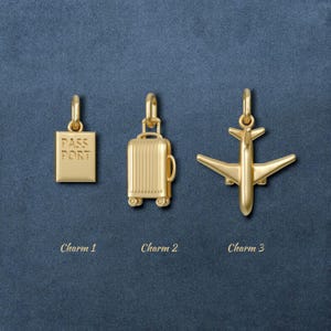 14 kt massief goud / aangepaste realistische vakantiebedel / paspoort / koffer / vliegtuig / leuke retro kettinghanger / handgemaakt zinvol cadeau